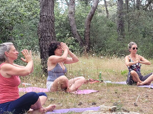 Yogaeinheit auf einer Wiese.
