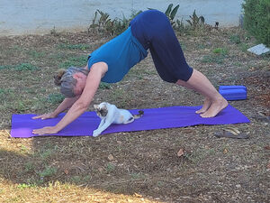 Yoga auf der Matte mit Katze.
